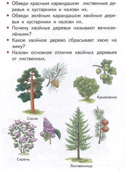 Фотография книги "Елена Бортникова: Изучаем окружающий мир (5-6 лет)"