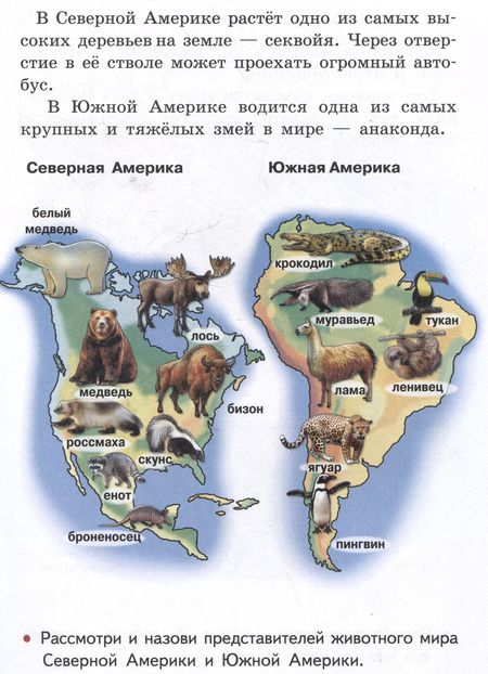 Фотография книги "Елена Бортникова: Изучаем окружающий мир (6-7 лет)"