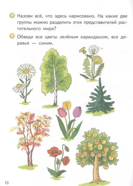 Фотография книги "Елена Бортникова: Мир вокруг нас (4-5 лет)"