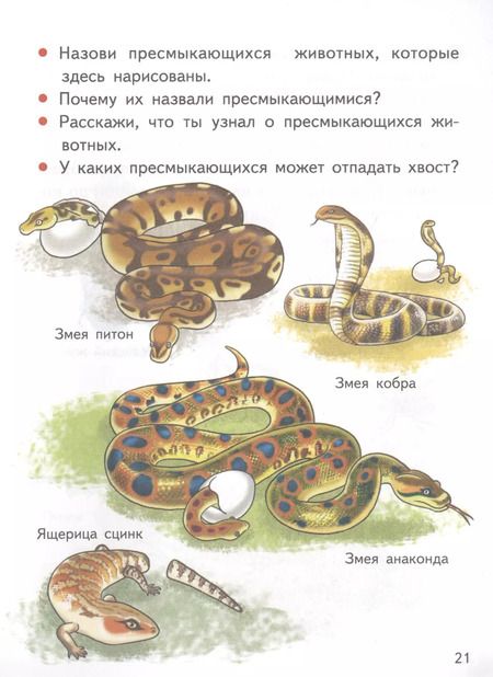 Фотография книги "Елена Бортникова: Мир вокруг нас (5-6 лет)"