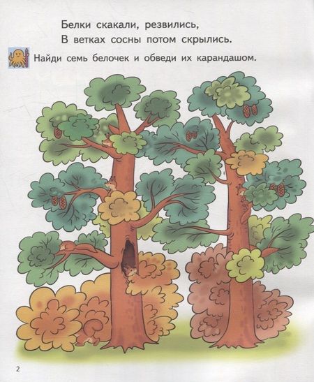 Фотография книги "Елена Бортникова: Найди на картинке. Для детей 5-6 лет"