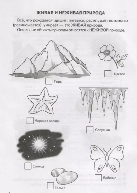 Фотография книги "Елена Бортникова: Знакомимся с окружающим миром (5-6 лет)"