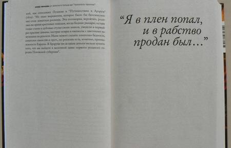 Фотография книги "Елена Чиркова: От золотого тельца до "Золотого теленка". Что мы знаем о литературе из экономики и об экономике"