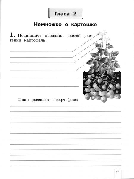 Фотография книги "Елена Чудинова: Окружающий мир. 2 класс. Рабочая тетрадь. В 2-х частях. ФГОС"