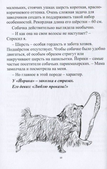 Фотография книги "Елена Каффановская: Собачки-задачки"