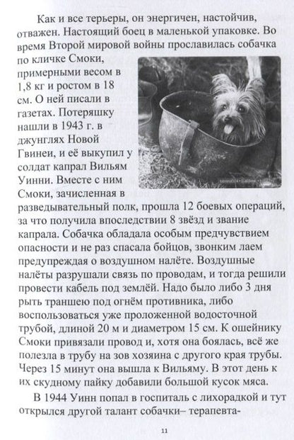 Фотография книги "Елена Каффановская: Собачки-задачки"