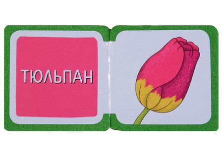 Фотография книги "Елена Куликова: Мини-книжки ЭВА. Что здесь растёт? На клумбе"