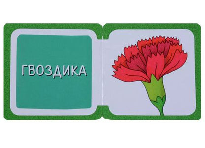 Фотография книги "Елена Куликова: Мини-книжки ЭВА. Что здесь растёт? На клумбе"