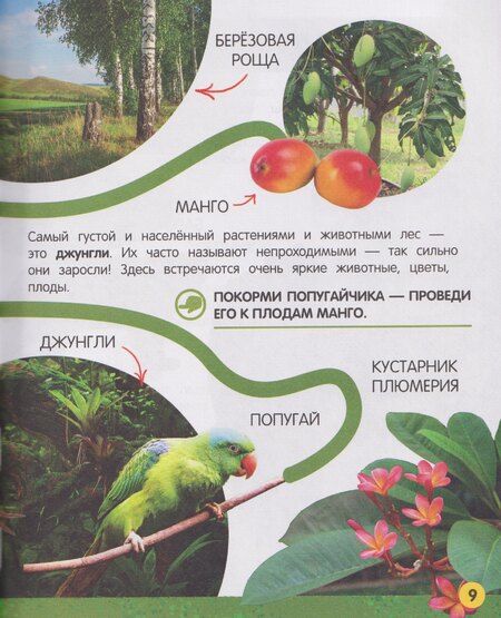 Фотография книги "Елена Львовна: Моя большая книга о природе"