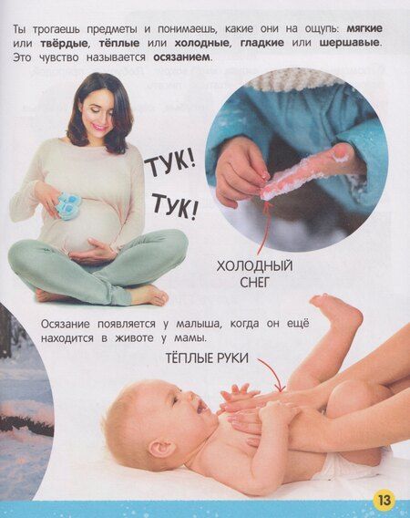 Фотография книги "Елена Львовна: Моя большая книга о теле человека"