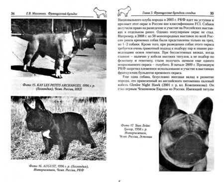 Фотография книги "Елена Маханько: Французский бульдог. Верность и отвага"
