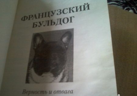 Фотография книги "Елена Маханько: Французский бульдог. Верность и отвага"