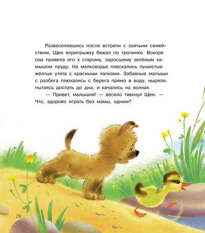 Фотография книги "Елена Матвеева: Что случилось во дворе? Сказки"