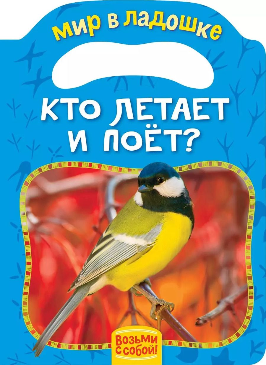 Обложка книги "Елена Мазанова: Кто летает и поет?"