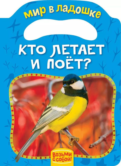 Обложка книги "Елена Мазанова: Кто летает и поет?"