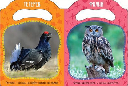 Фотография книги "Елена Мазанова: Кто летает и поет?"