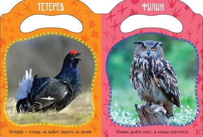 Фотография книги "Елена Мазанова: Кто летает и поет?"