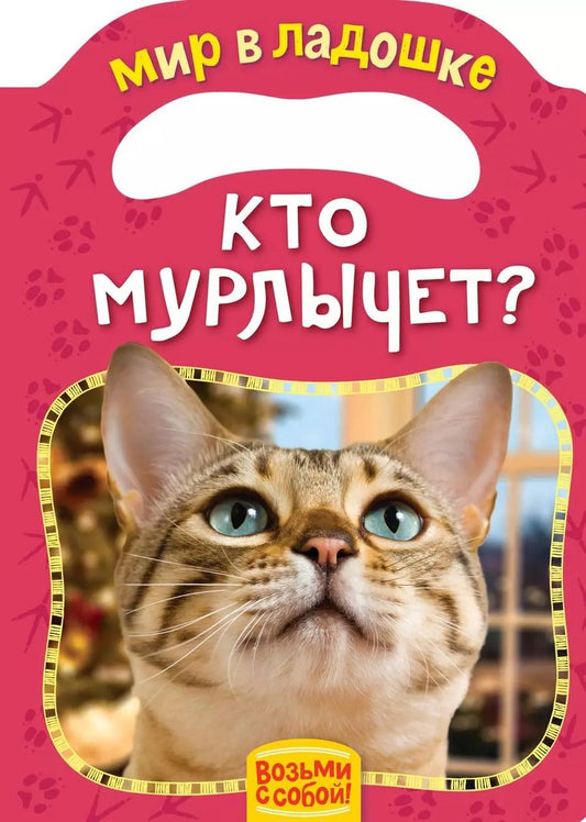 Обложка книги "Елена Мазанова: Кто мурлычет?"
