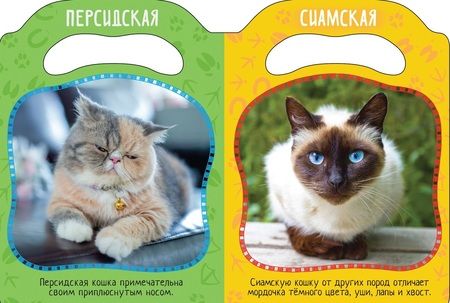Фотография книги "Елена Мазанова: Кто мурлычет?"