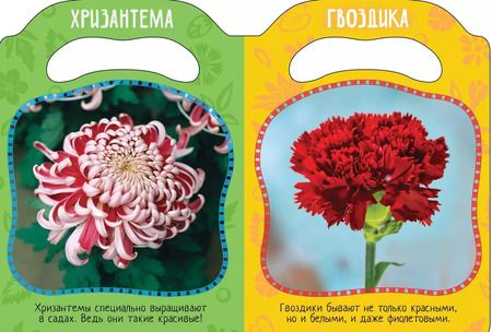 Фотография книги "Елена Мазанова: Вот так цветы!"