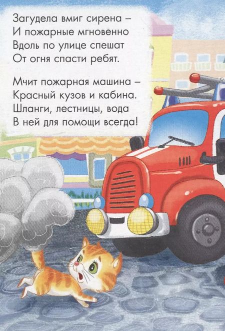 Фотография книги "Елена Романова: ЦК МИНИ. КТО СПЕШИТ НА ПОЖАР?"