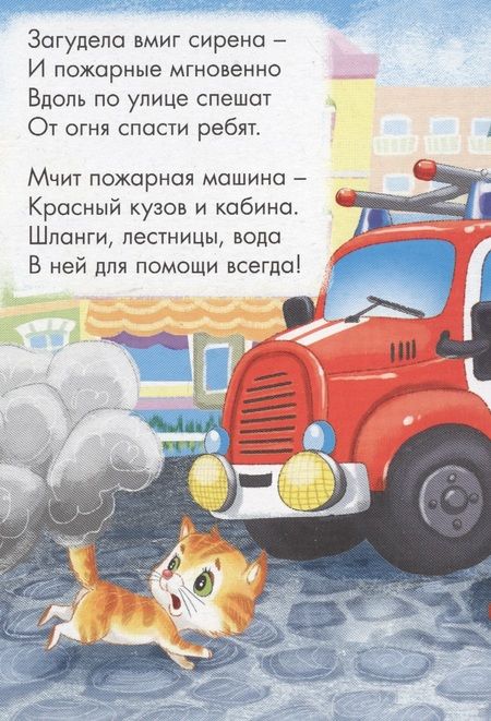 Фотография книги "Елена Романова: ЦК МИНИ. КТО СПЕШИТ НА ПОЖАР?"