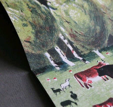 Фотография книги "Елена Сафонова: Река. Комплект из двух книг в папке"