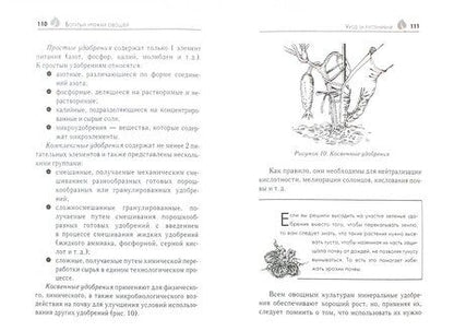 Фотография книги "Елена Шкитина: Богатый урожай овощей"