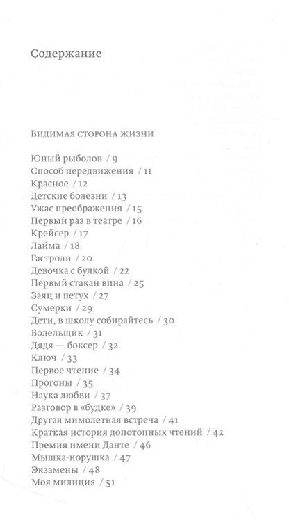 Фотография книги "Елена Шварц: Истинные происшествия моей жизни"