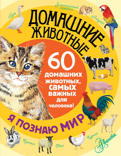 Обложка книги "Елена Снегирева: Домашние животные. 60 домашних животных, самых важных для человека"