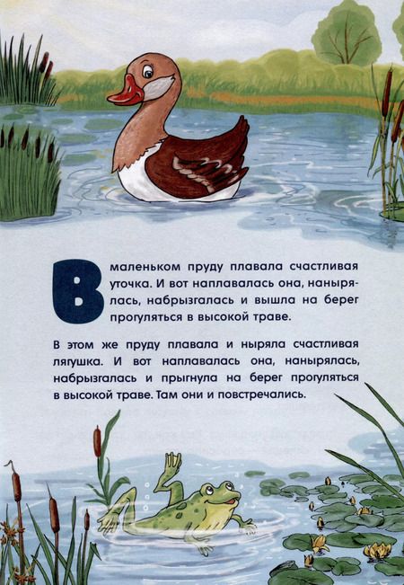 Фотография книги "Елена Соколова: Пруд"