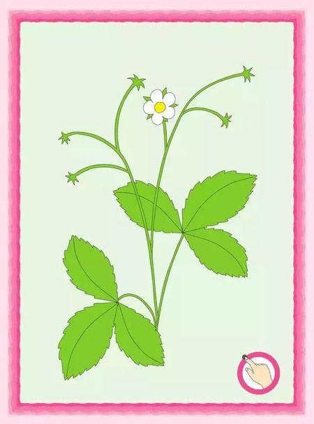 Фотография книги "Елена Соловьева: Я рисую: пособие для детей 3-4 лет"