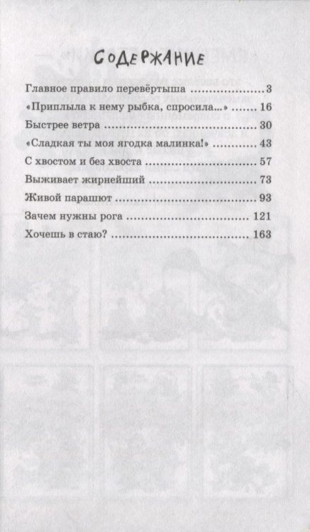 Фотография книги "Елена Степанова: Санька, обернись"