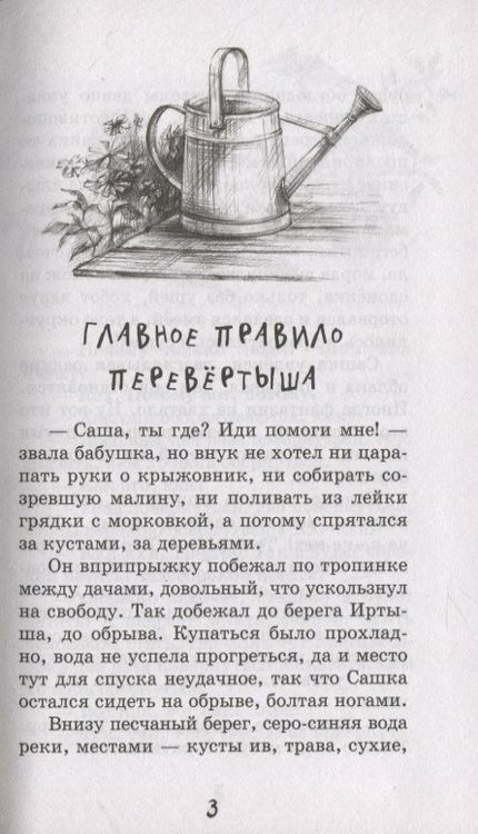 Фотография книги "Елена Степанова: Санька, обернись"