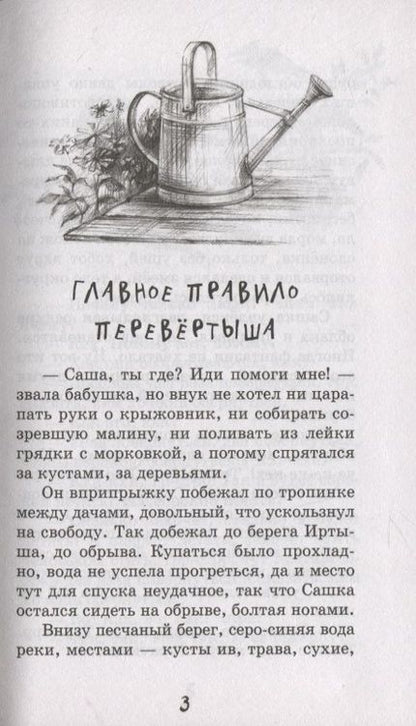 Фотография книги "Елена Степанова: Санька, обернись"