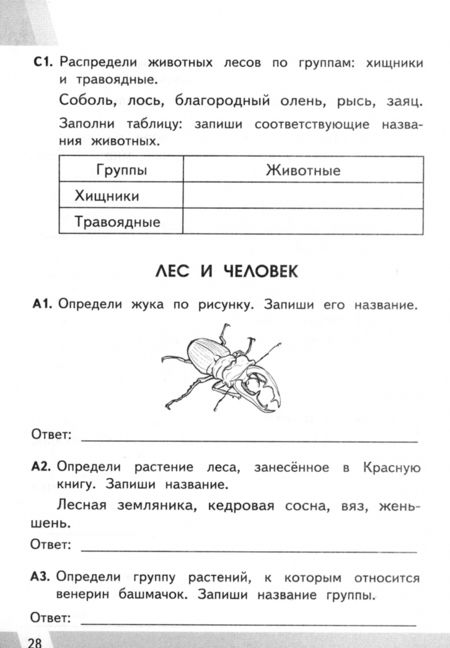 Фотография книги "Елена Тихомирова: ВПР КИМ Окружающий мир. 4 класс. ФГОС"