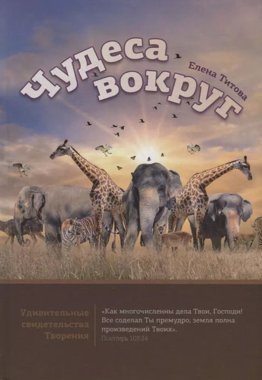 Обложка книги "Елена Титова: Чудеса вокруг"