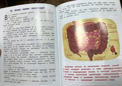 Фотография книги "Елена Ульева: Как устроен человек. Энциклопедия для малышей в сказках"