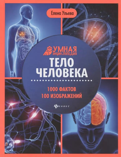 Обложка книги "Елена Ульева: Тело человека: энциклопедия"