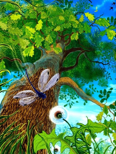 Фотография книги "Елена Велена: Сказки осеннего леса"