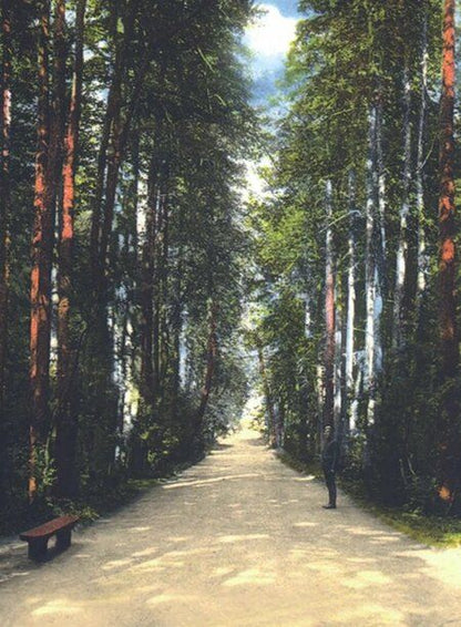 Фотография книги "Елена Викторовна: Прогулки в «Царицыне» с краеведом. 3-е издание"