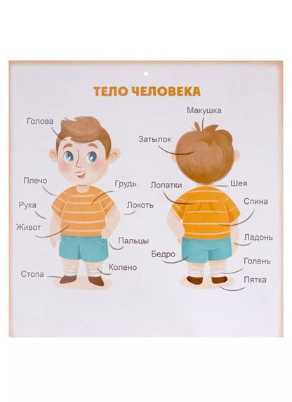 Фотография книги "Елена Володина: Подготовка к школе. Комплект обучающих плакатов"