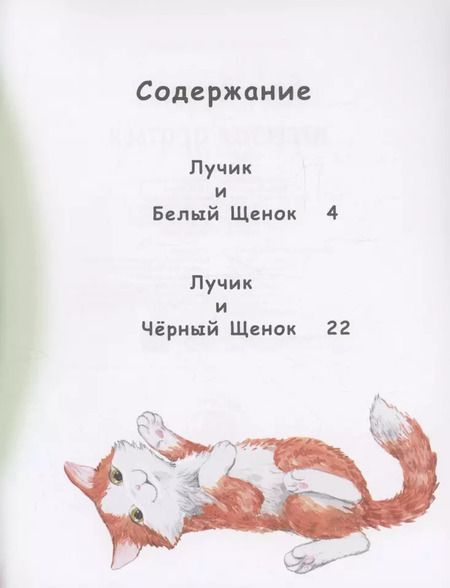 Фотография книги "Елизавета Кваснюк: Как Лучик перестал драться"