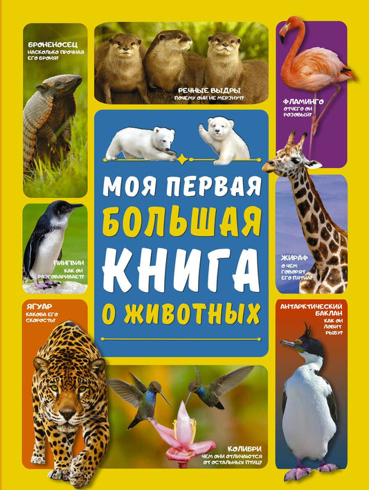 Обложка книги "Ермакович, Вайткене: Моя первая большая книга о животных"