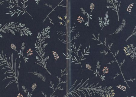 Фотография книги "Ева Бран: По ту сторону Нави"