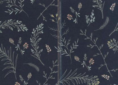 Фотография книги "Ева Бран: По ту сторону Нави"