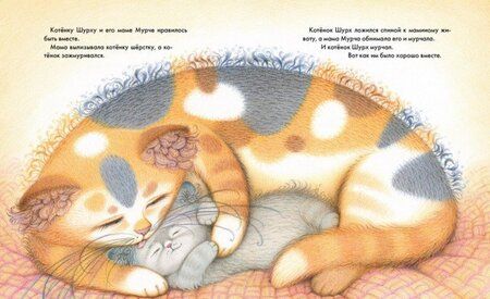 Фотография книги "Евдокимова: Лучший бантик на свете"