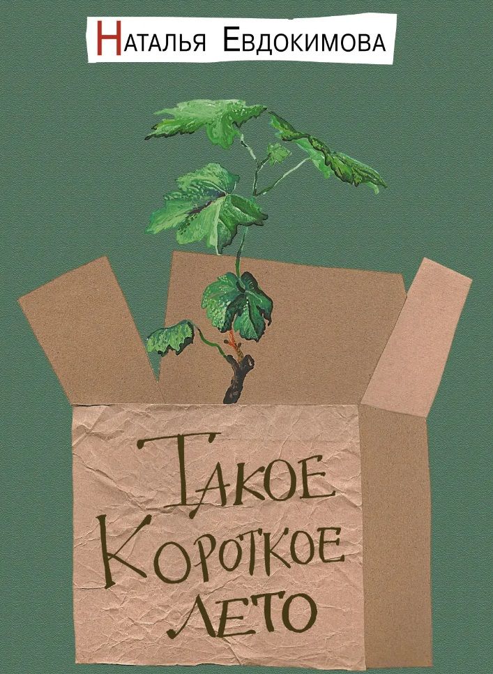 Обложка книги "Евдокимова: Такое короткое лето"