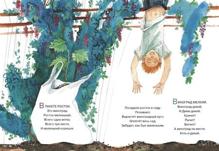 Фотография книги "Евдокимова: Такое короткое лето"