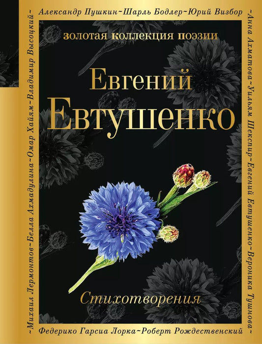 Обложка книги "Евгений Александрович: Стихотворения"